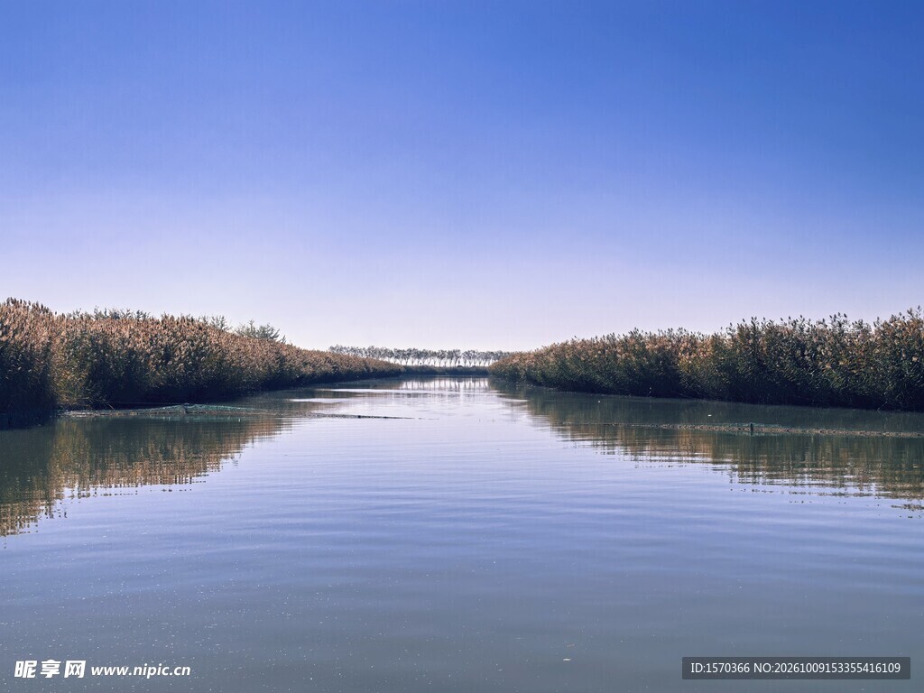 郊野河流自然风景