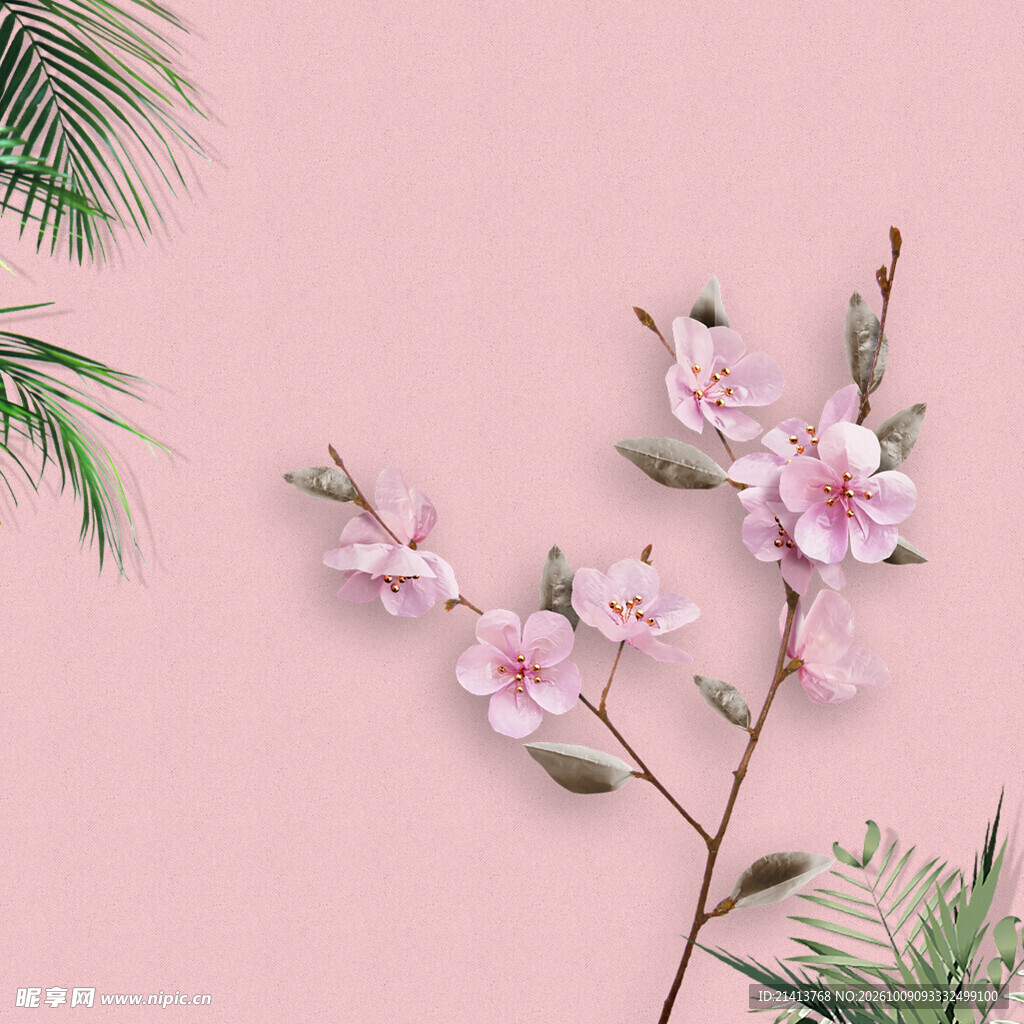 浅粉背景桃花枝素材
