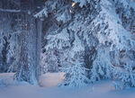 雪夜林间小屋