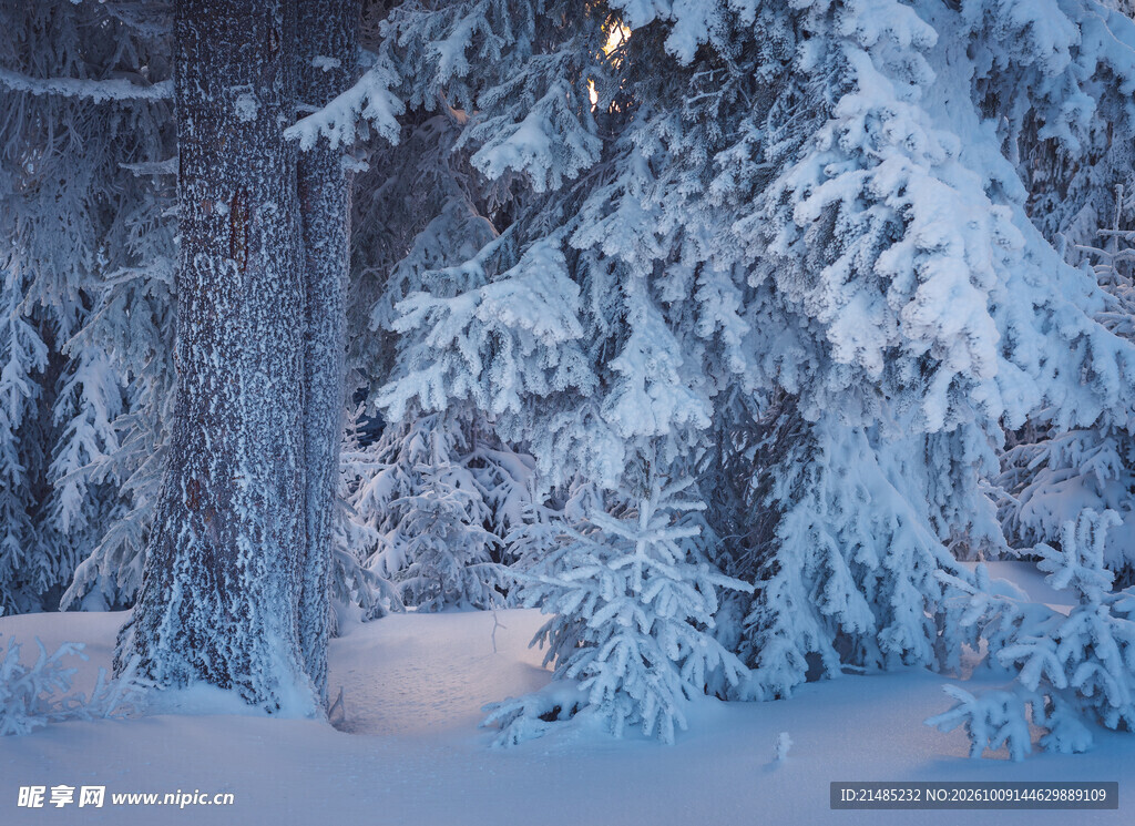 雪夜林间小屋
