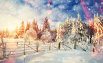 冬日雪林晨光美景