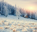 冬日雪林小屋晨光