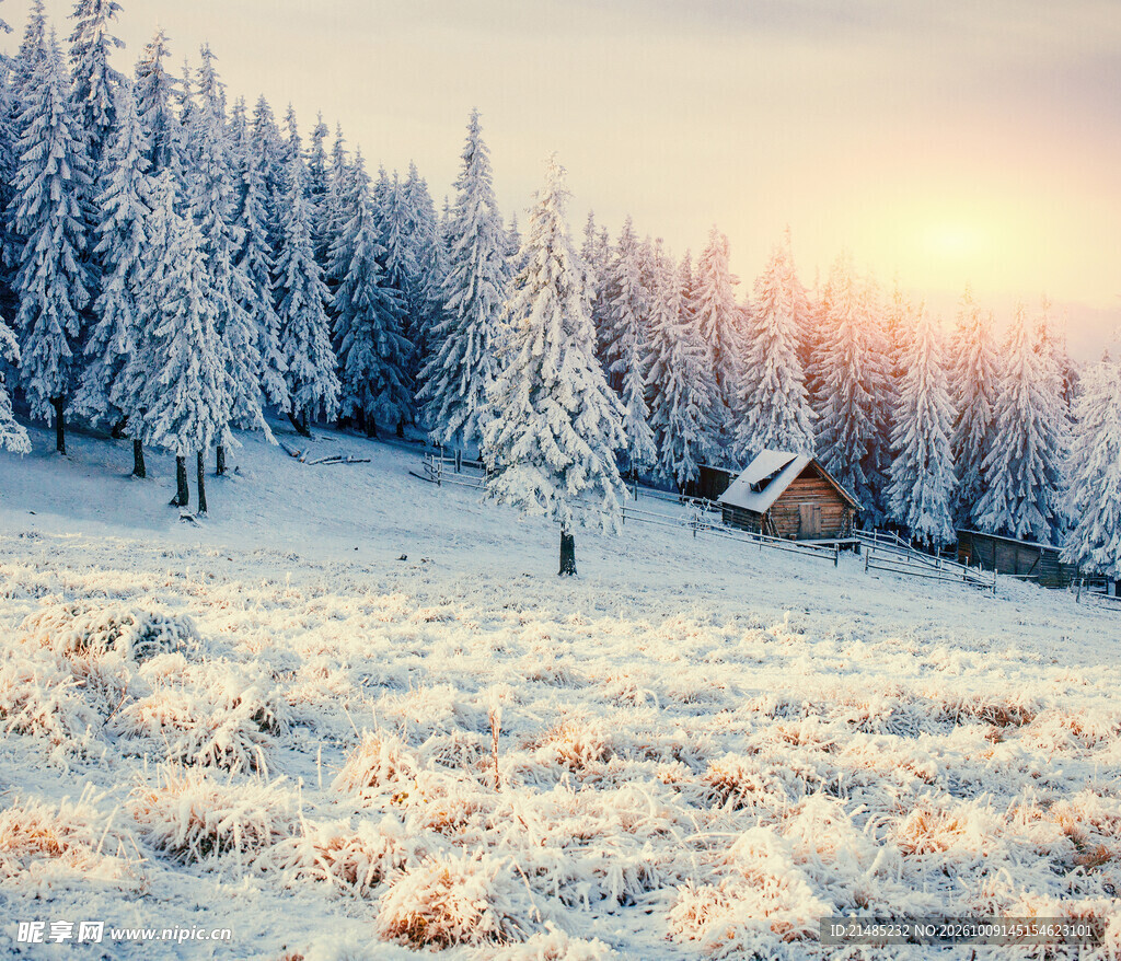 冬日雪林小屋晨光