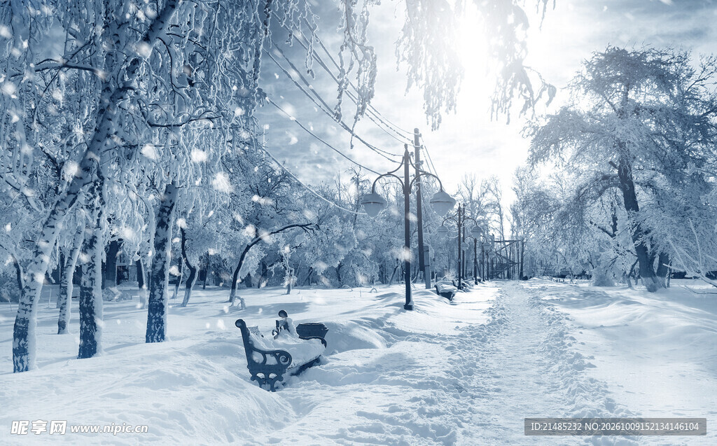 冬日公园雪景