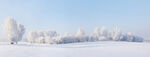 冬日雪原雾凇美景