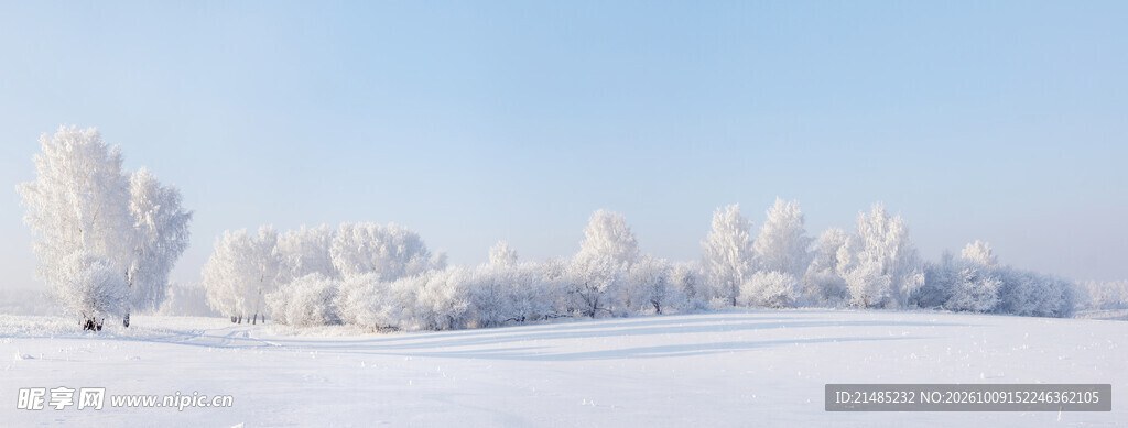 冬日雪原雾凇美景