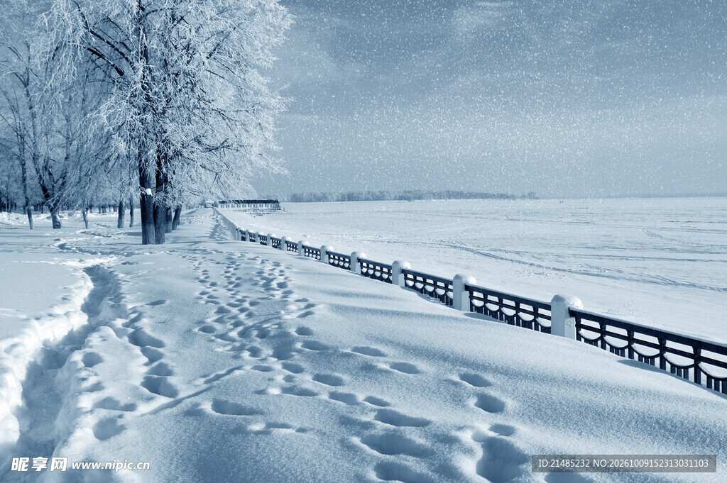 冬日湖畔雪景