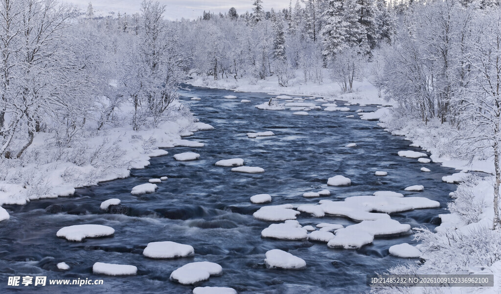 冬日林间积雪道路