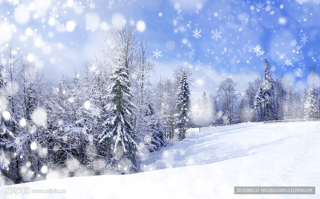 冬日雪原松林雪景