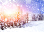 冬日雪林日落美景
