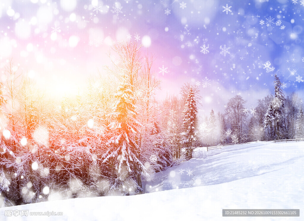 冬日雪林日落美景