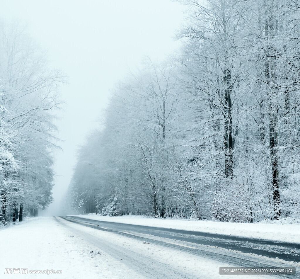 雪天林间公路雪景