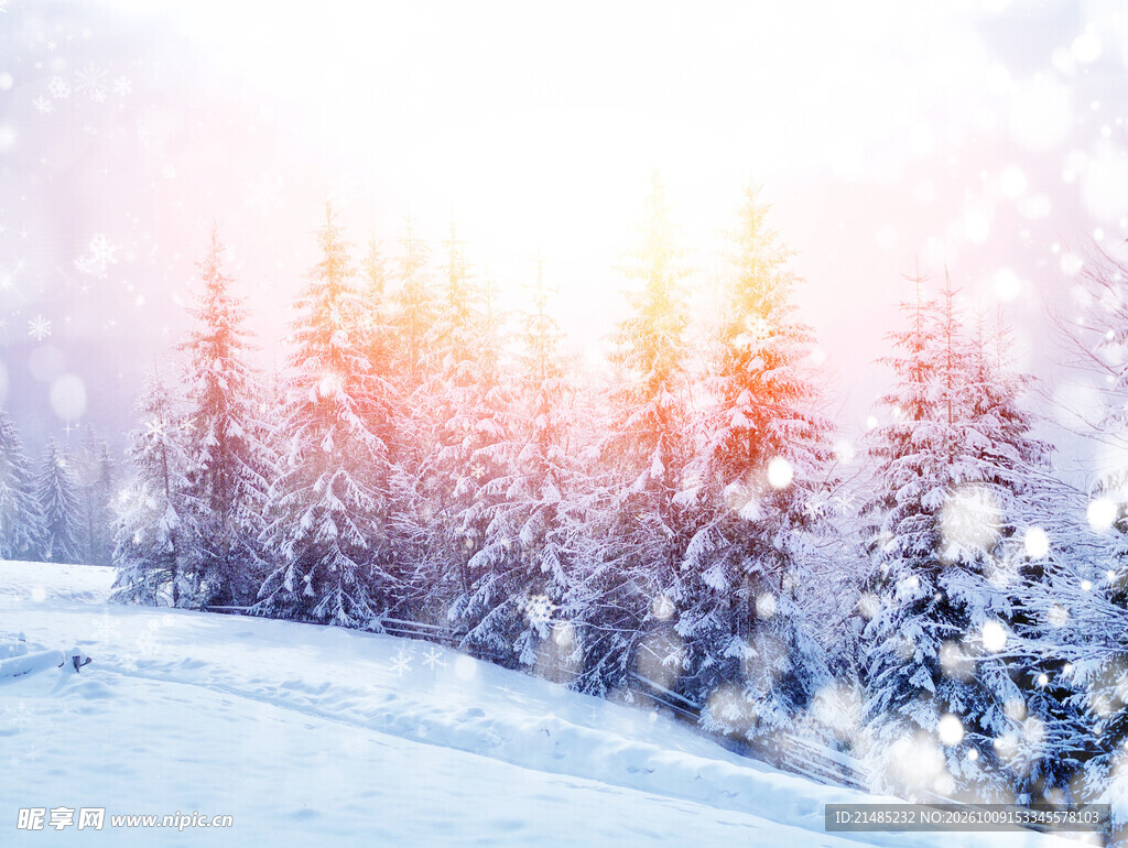 冬日雪林梦幻雪景