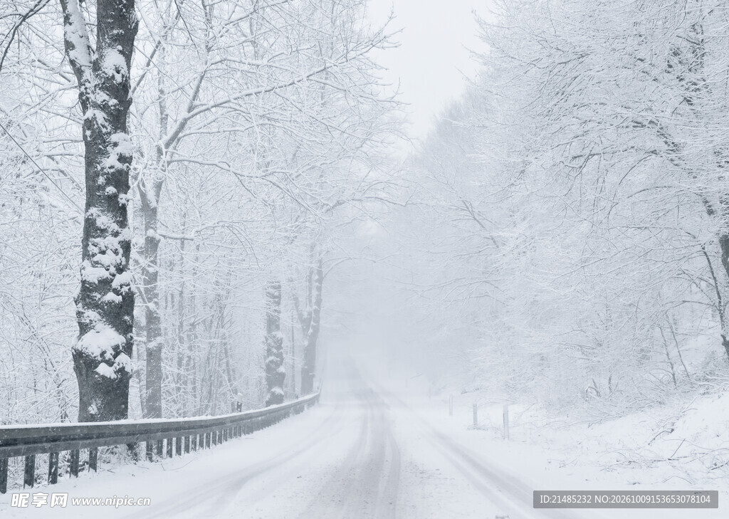 暴雪天林间公路雪景
