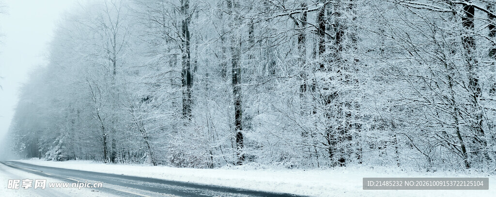 雪天雾中林间公路