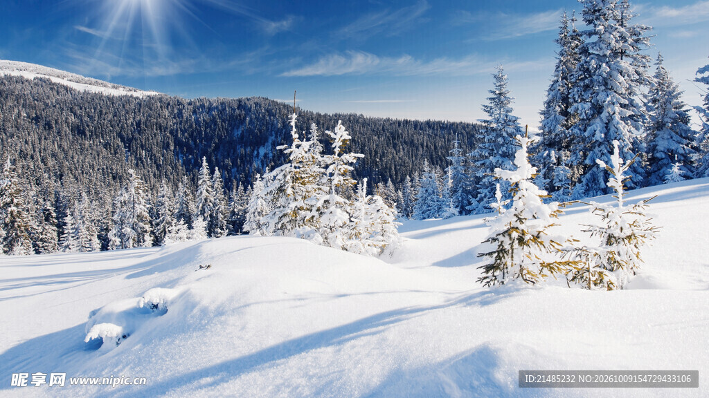 冬季雪原山林晴日美景