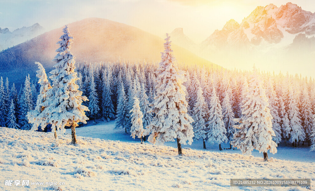 冬日雪林日出美景