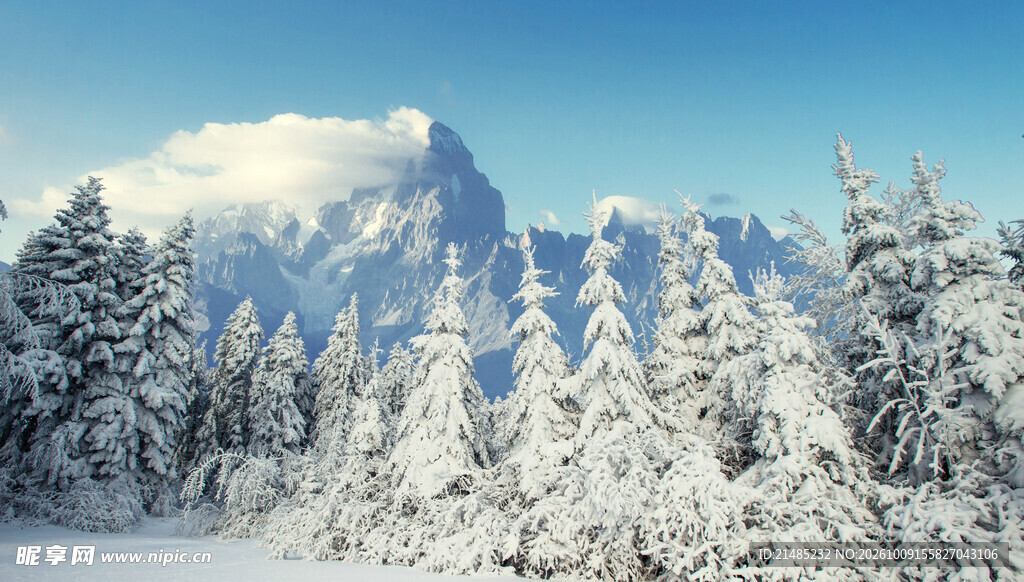 冬季雪山雾凇森林风光