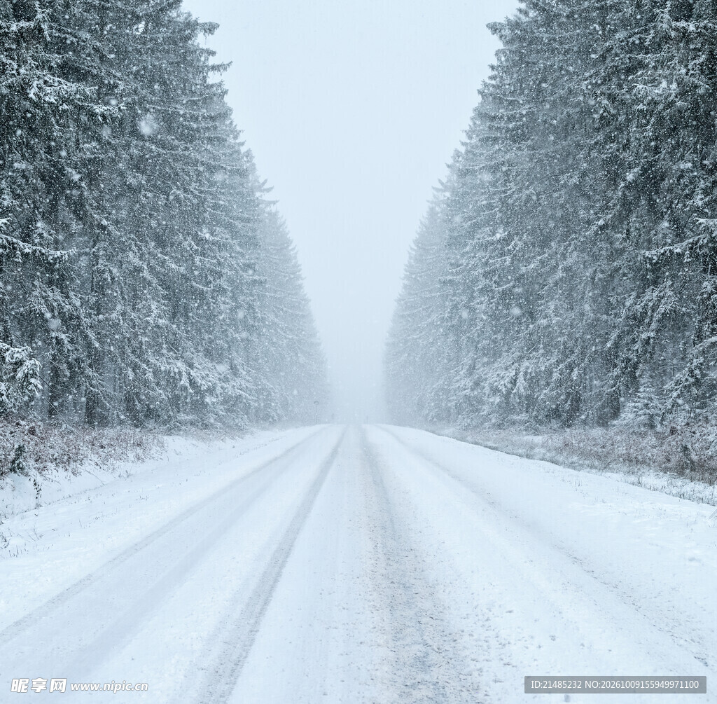 暴雪天林间积雪公路