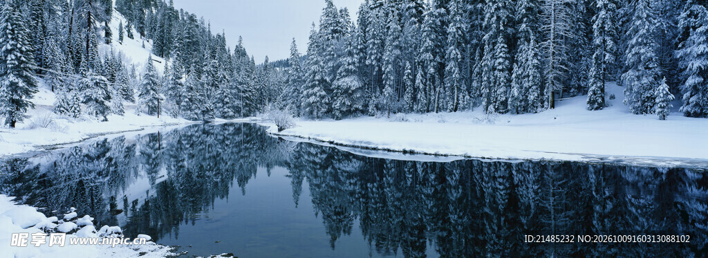 冬季雪林湖畔风光