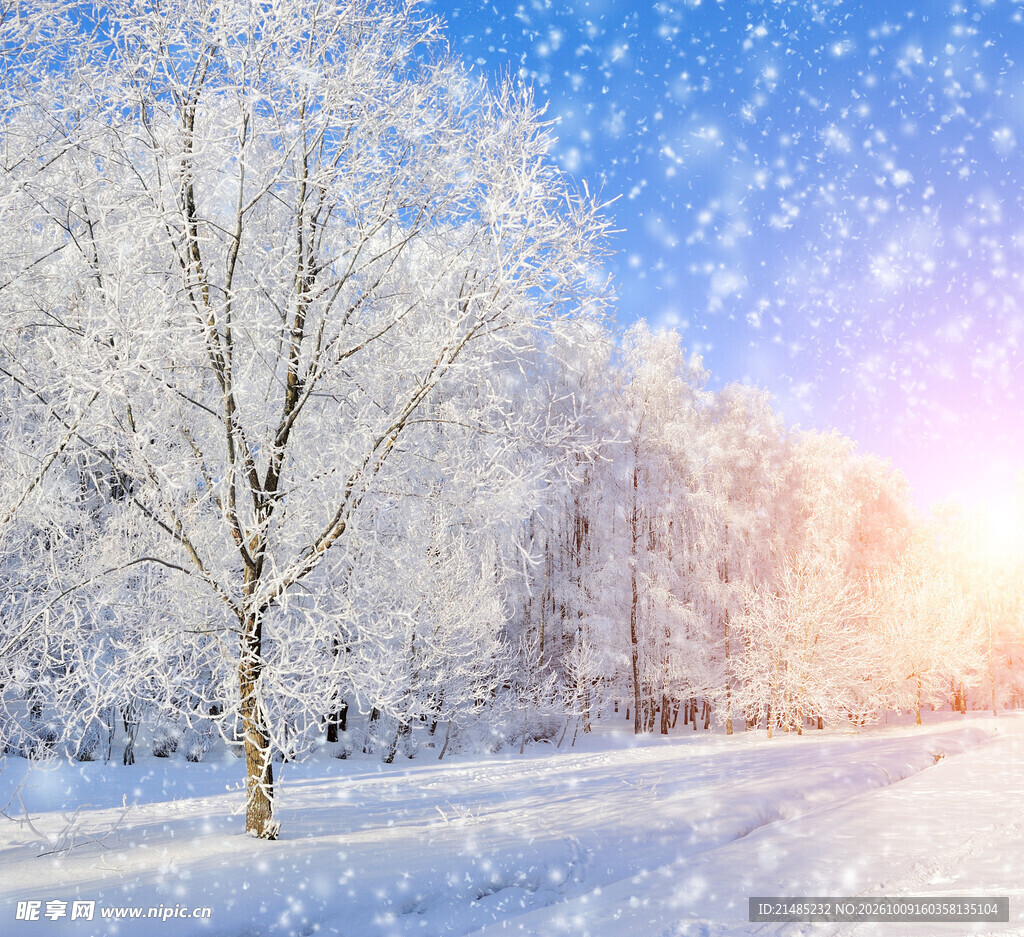 冬日雪后雾凇美景