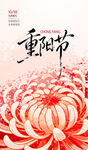 重阳节海报