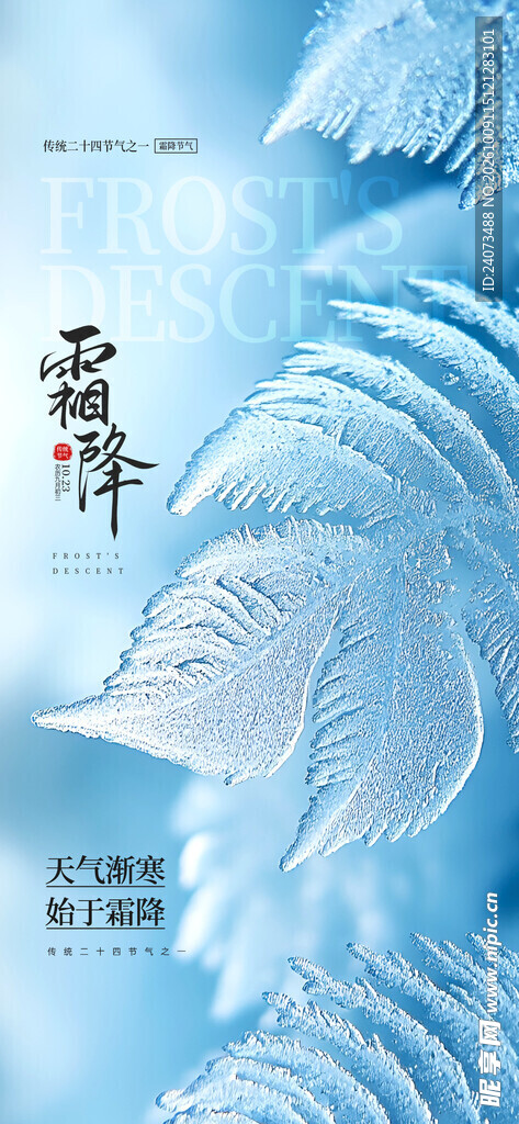 霜降节气创意海报