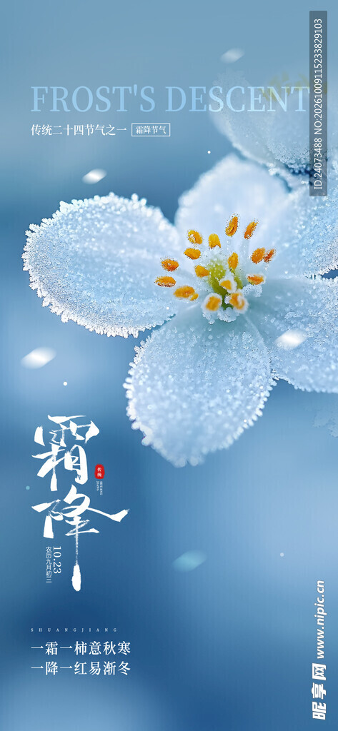 白露节气意境花卉海报