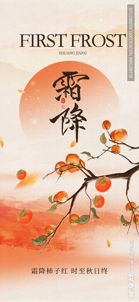 霜降节气柿子国风插画
