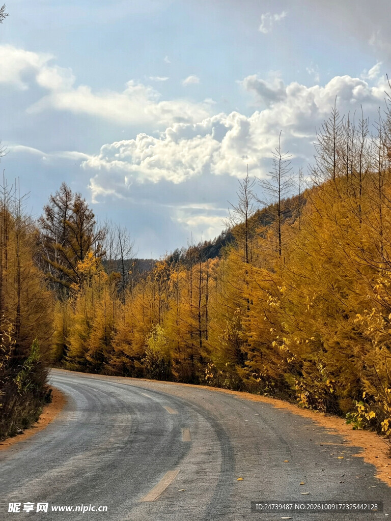 秋日山间公路风光