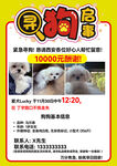 万元悬赏寻狗启事