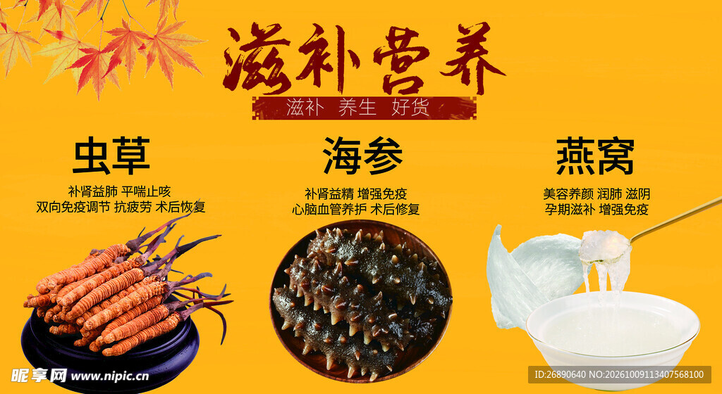 滋补营养品宣传海报