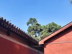 红墙古建蓝天风光