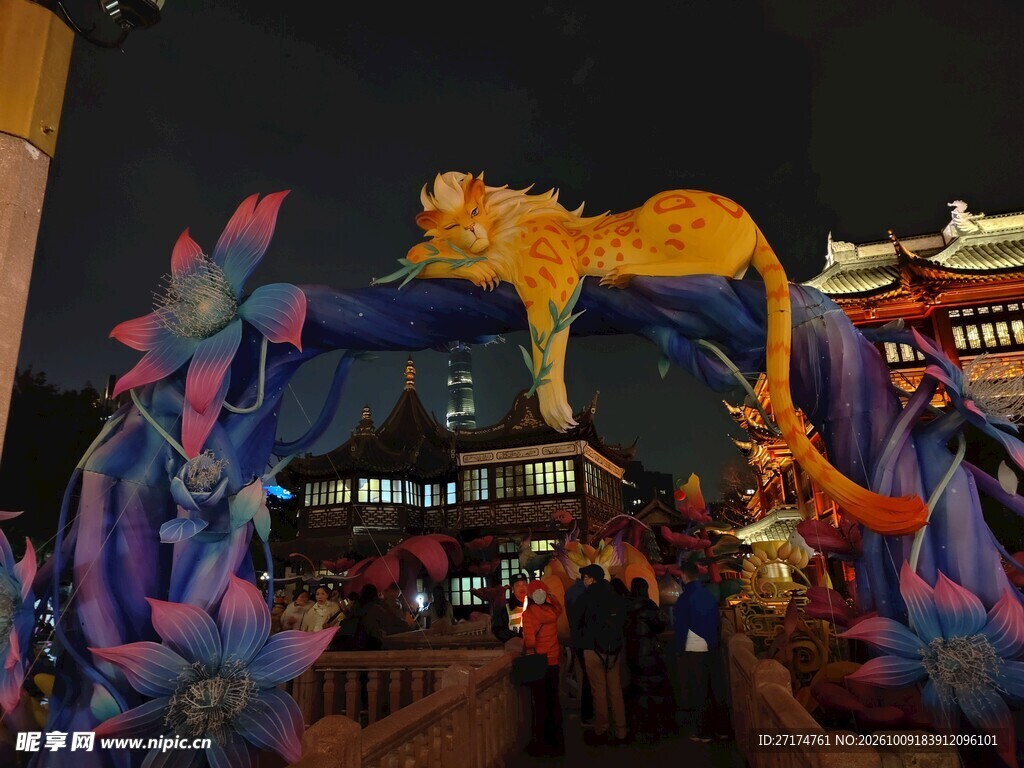 新春花灯夜景