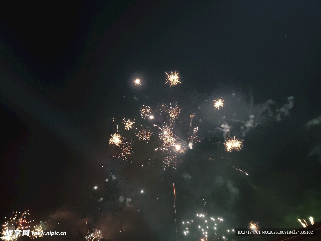 夜空绽放的烟花