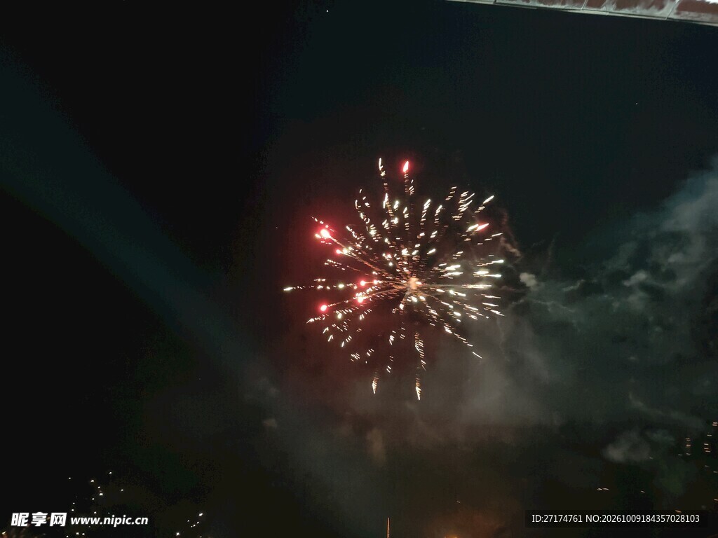 夜空中绽放的烟花