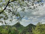 林间远眺山野风光