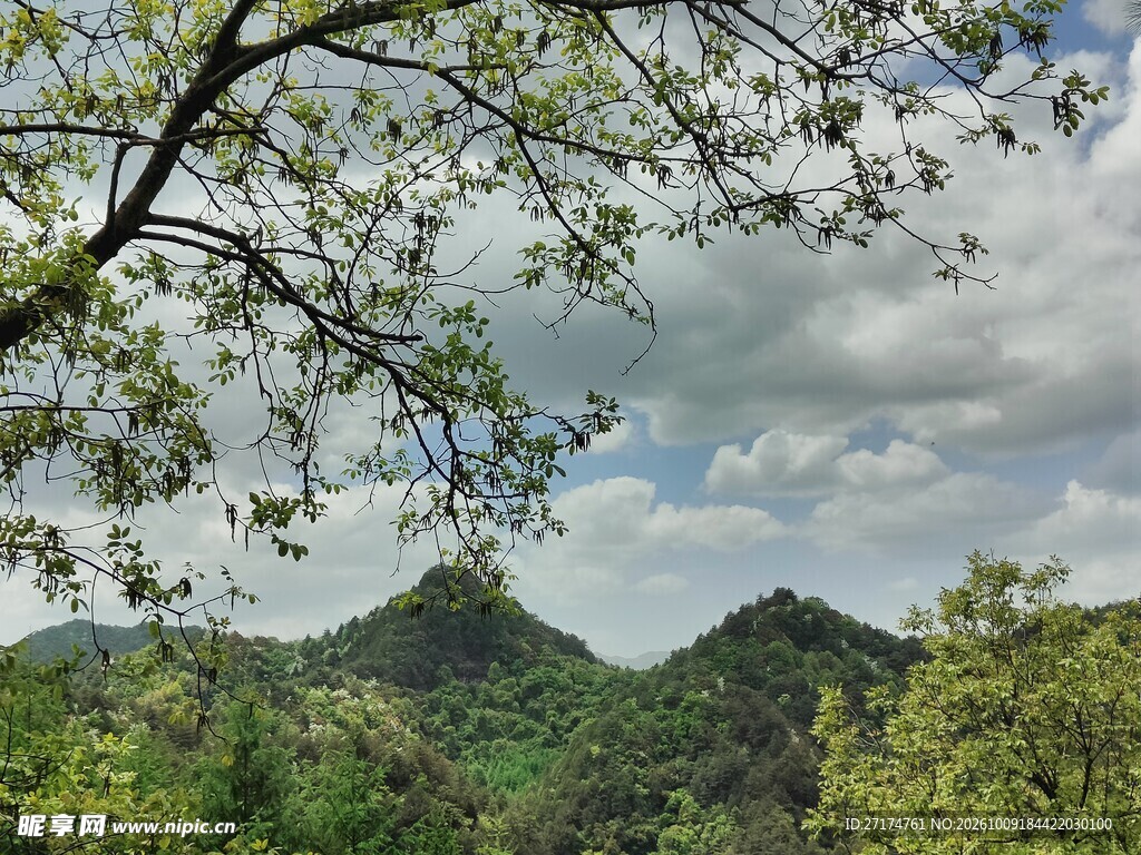 林间远眺山野风光