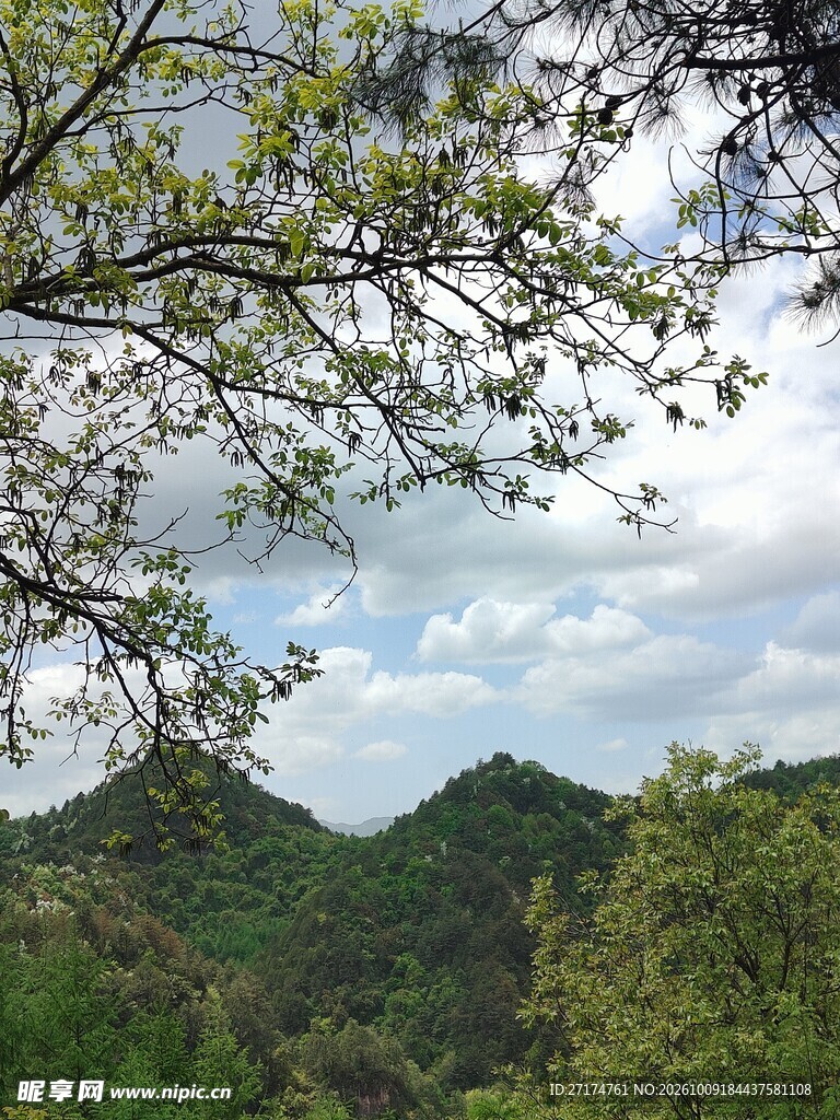 春日郊野山景