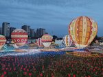 花田热气球城市风光