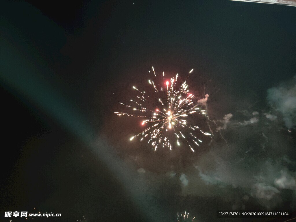 夜空中绽放的烟花