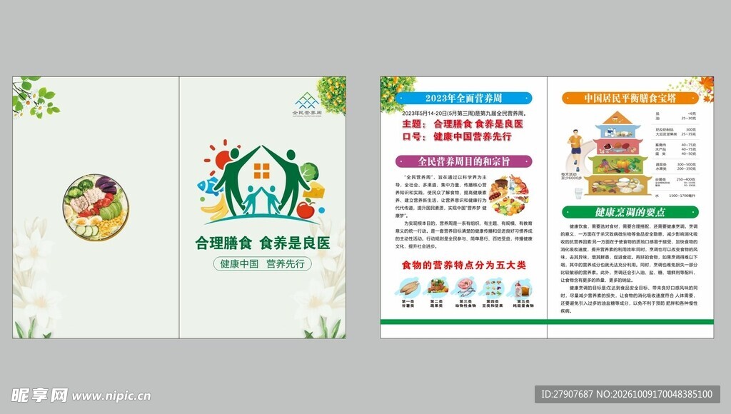 健康科普合理膳食宣传折页模板