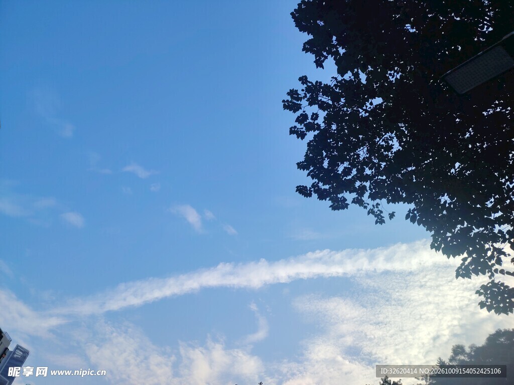 蓝天树影自然风景