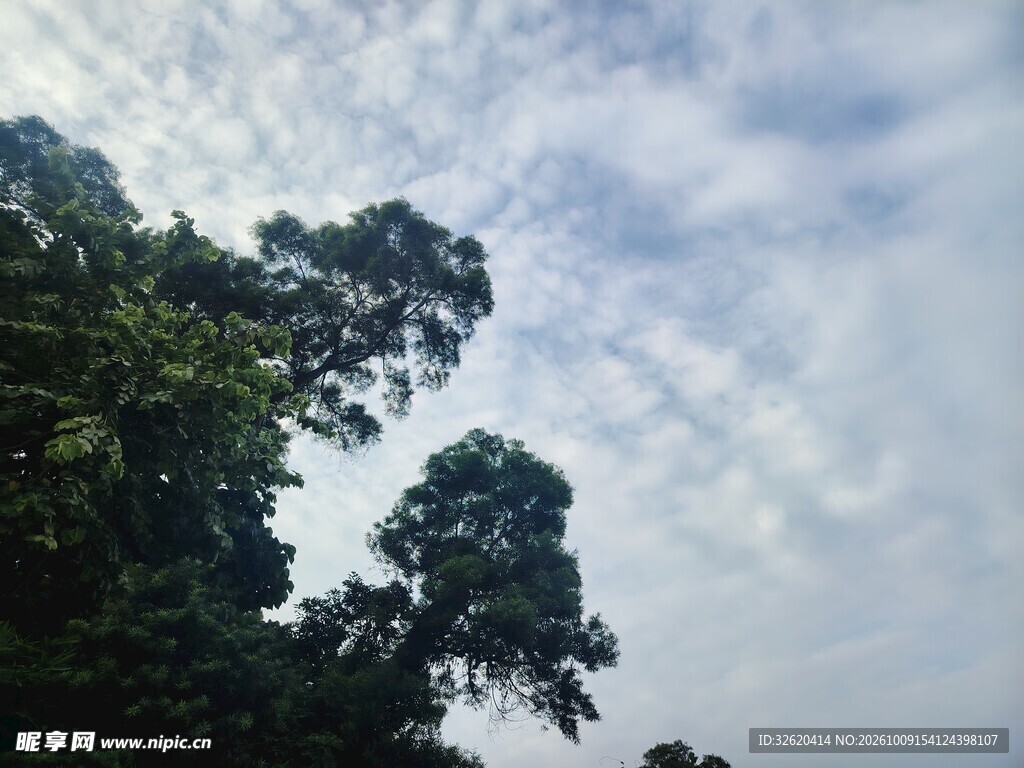 云天绿树自然风景