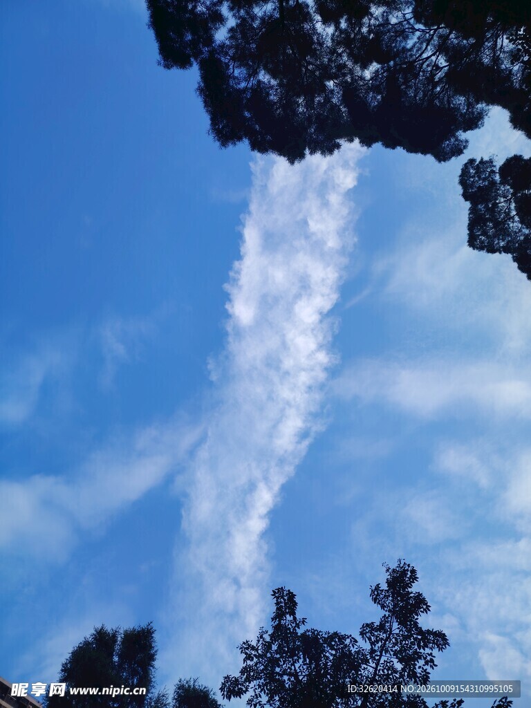 蓝天树影与长条云