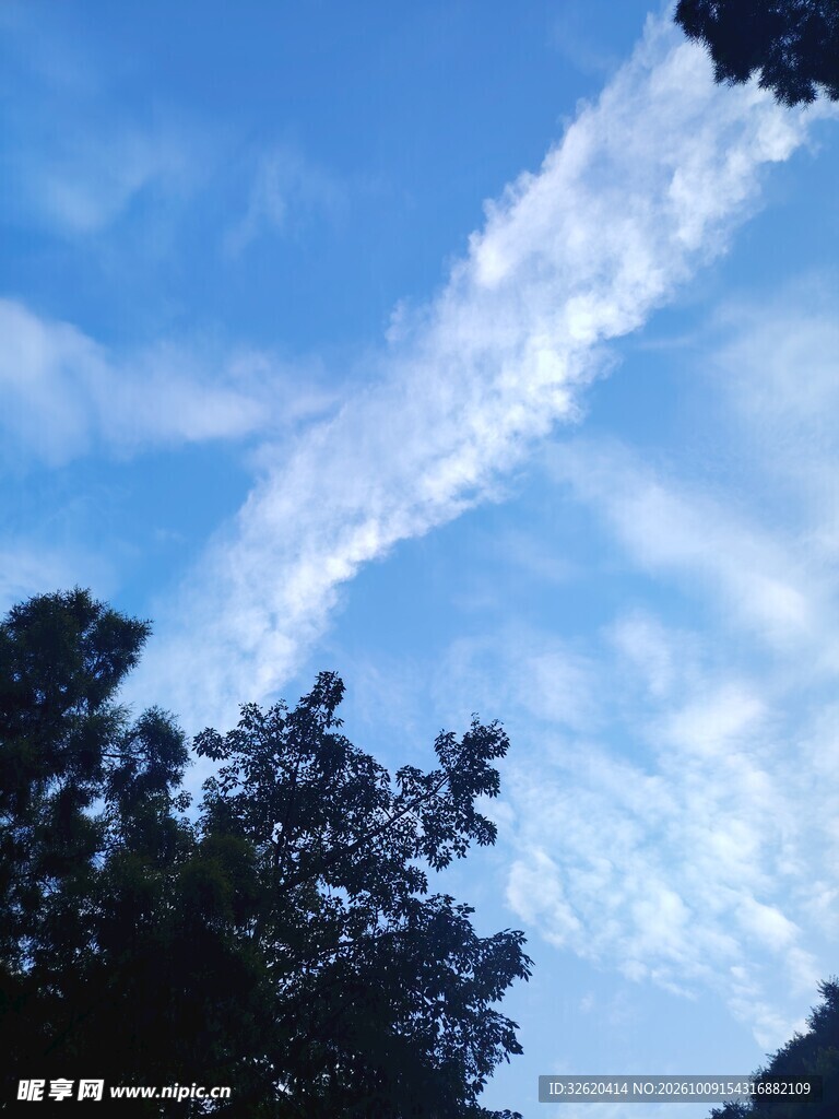 蓝天流云伴树影