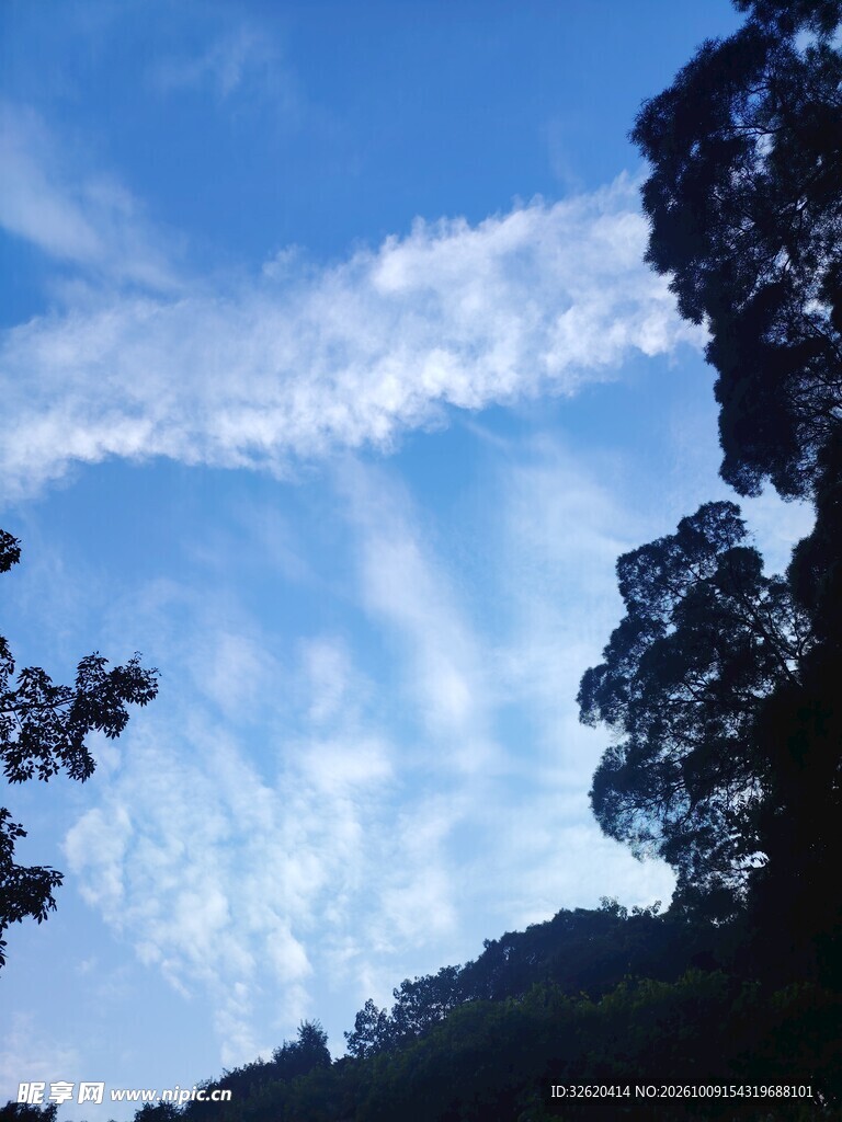 晴空云下树影风光