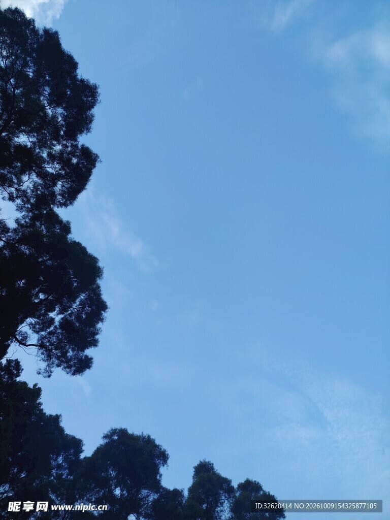蓝天树影清新风景
