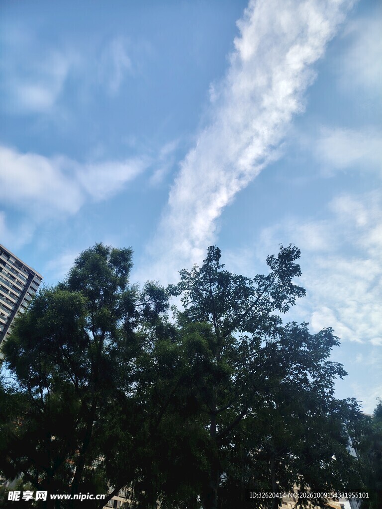 蓝天白云绿树景观
