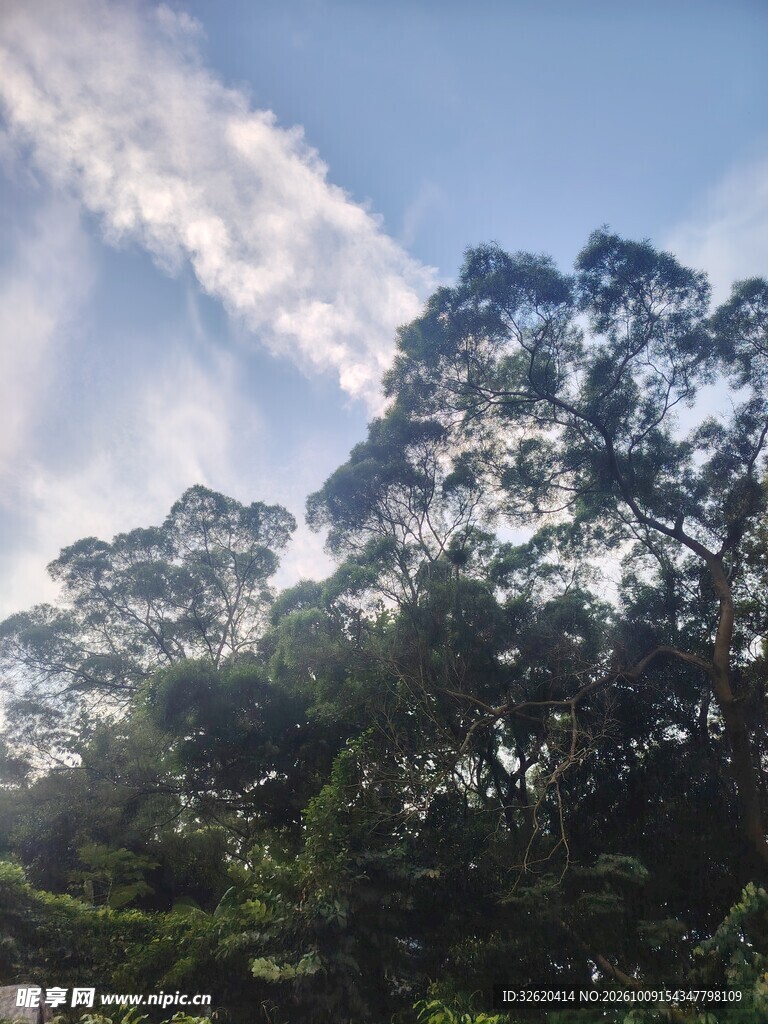 蓝天山林自然风光